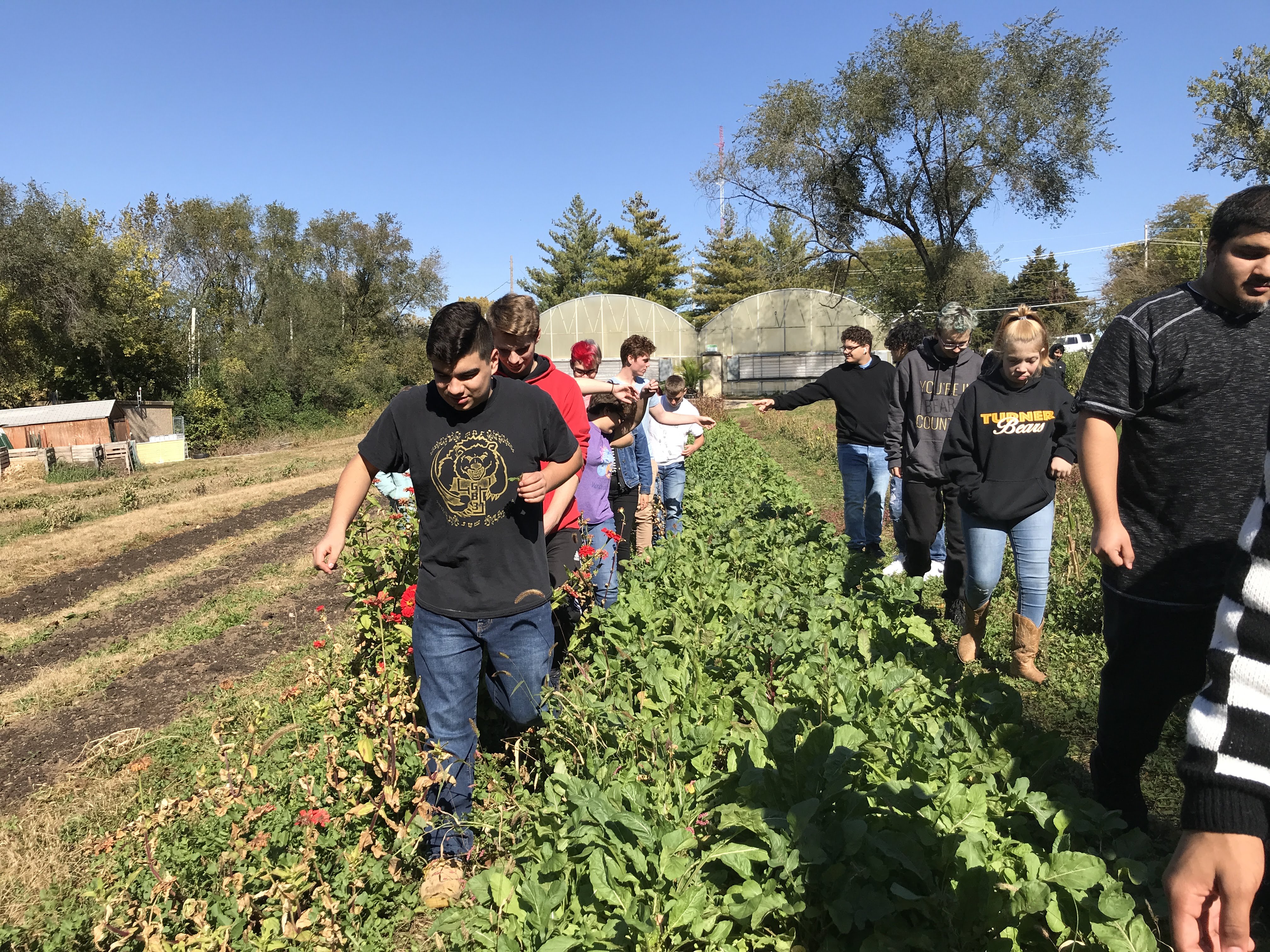 kids on a farm
